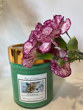 Load image into Gallery viewer, Sparkle