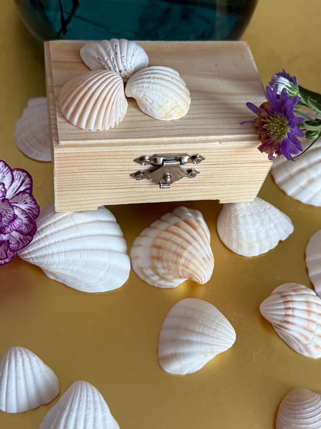 Wood Seashells Mini Chest