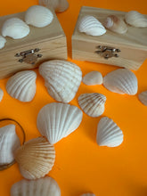 Load image into Gallery viewer, Wood Seashells Mini Chest
