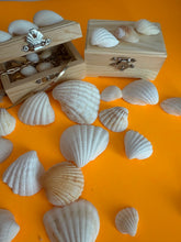 Load image into Gallery viewer, Wood Seashells Mini Chest
