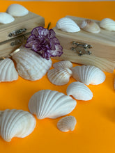 Load image into Gallery viewer, Wood Seashells Mini Chest
