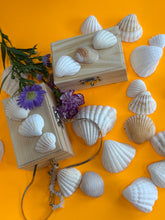 Load image into Gallery viewer, Wood Seashells Mini Chest
